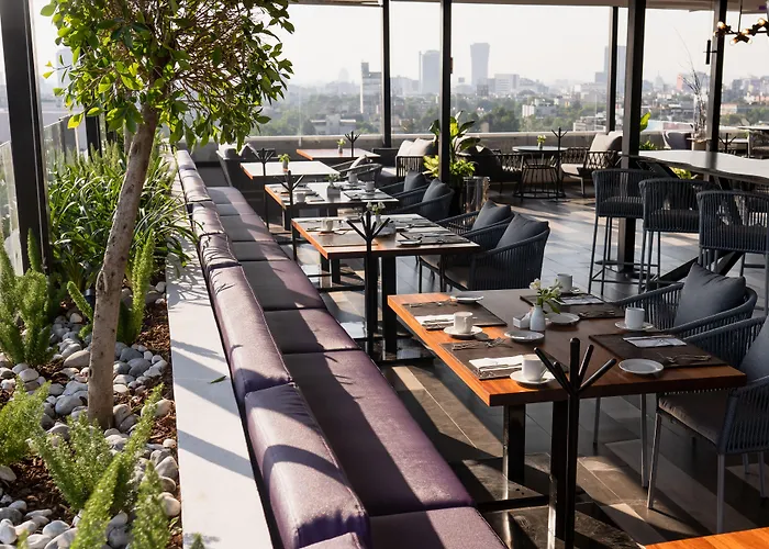 Hs Hotsson Long Cdmx Condesa Sur 5* México DF
