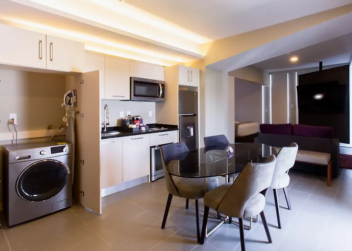 Hs Hotsson Long Cdmx Condesa Sur