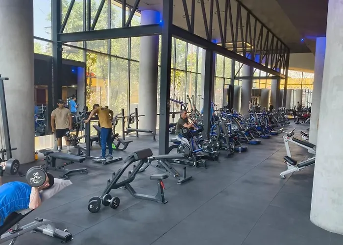 Hotel Hs Hotsson Long Cdmx Condesa Sur México DF
