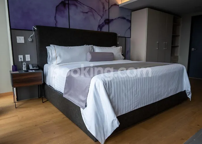 Hs Hotsson Long Cdmx Condesa Sur Hotel